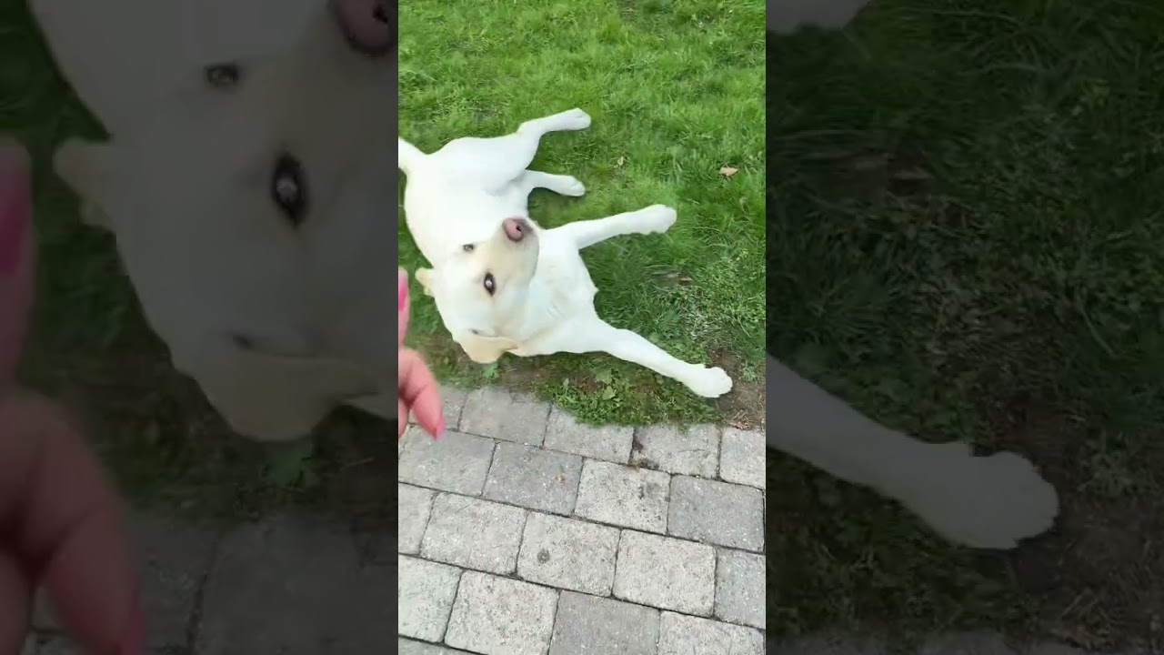 Sometimes im focused 