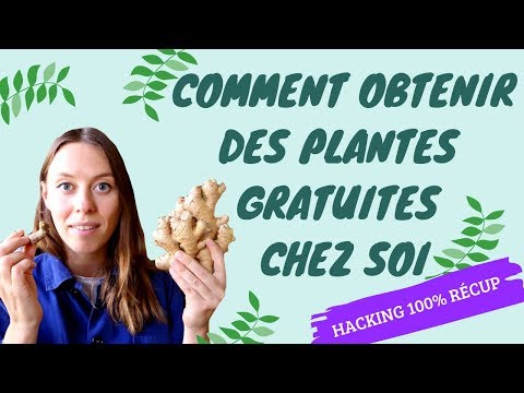 Des plantes gratuites