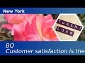 Better Qualified Credit Repair‎/New York/BQ Experts/High Risk Borrower