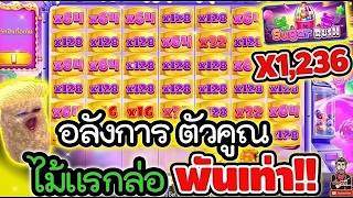 เฮียริช สวิตเซอร์แลนด์ ➤ อลังการ ตัวคูณ ไม้แรกล่อ พันเท่า !! │Sugar Rush   Pragmatic Play