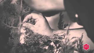 Storyone Collecting Wild Juniper