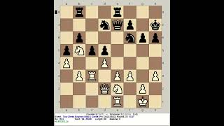 Counter 5 vs Schooner 2.2 | Top Chess Engines Blitz II, 230802 R27
