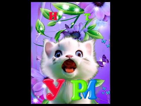 ТИМУР,#сднемрождения #привет #приколы #котики #коты #новинка #кошки