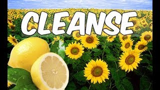 lemon juice/sunflower oil cleanse