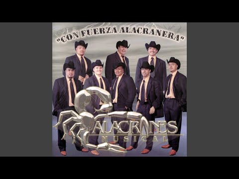 Putar Cuando Mas Tranquila Te Hayes - Alacranes Musical