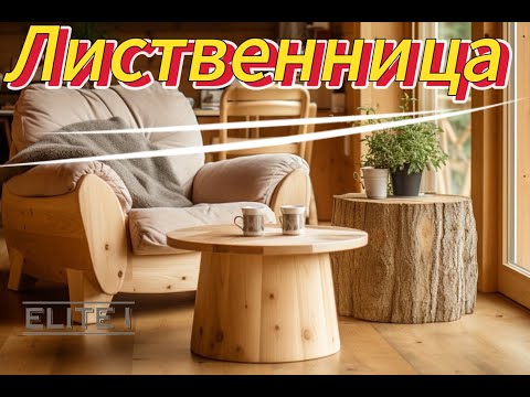 Массив Лиственницы. Производственный отдел Мебельной Фабрики Elite1. Описание Лиственницы и Свойства
