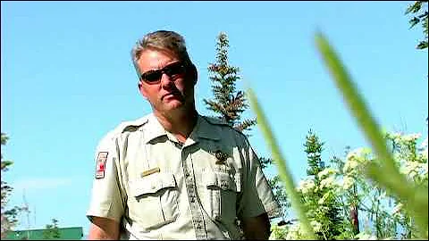 How to Become an Arizona Game & Fish Warden