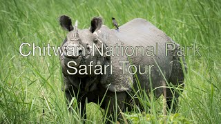 Wild Animals of the Chitwan National Park in Chitwan Nepal on Jungle Safari/4k with Sony A7iii