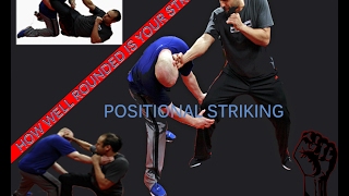 How to Knockout a Grappler in MMA screenshot 5