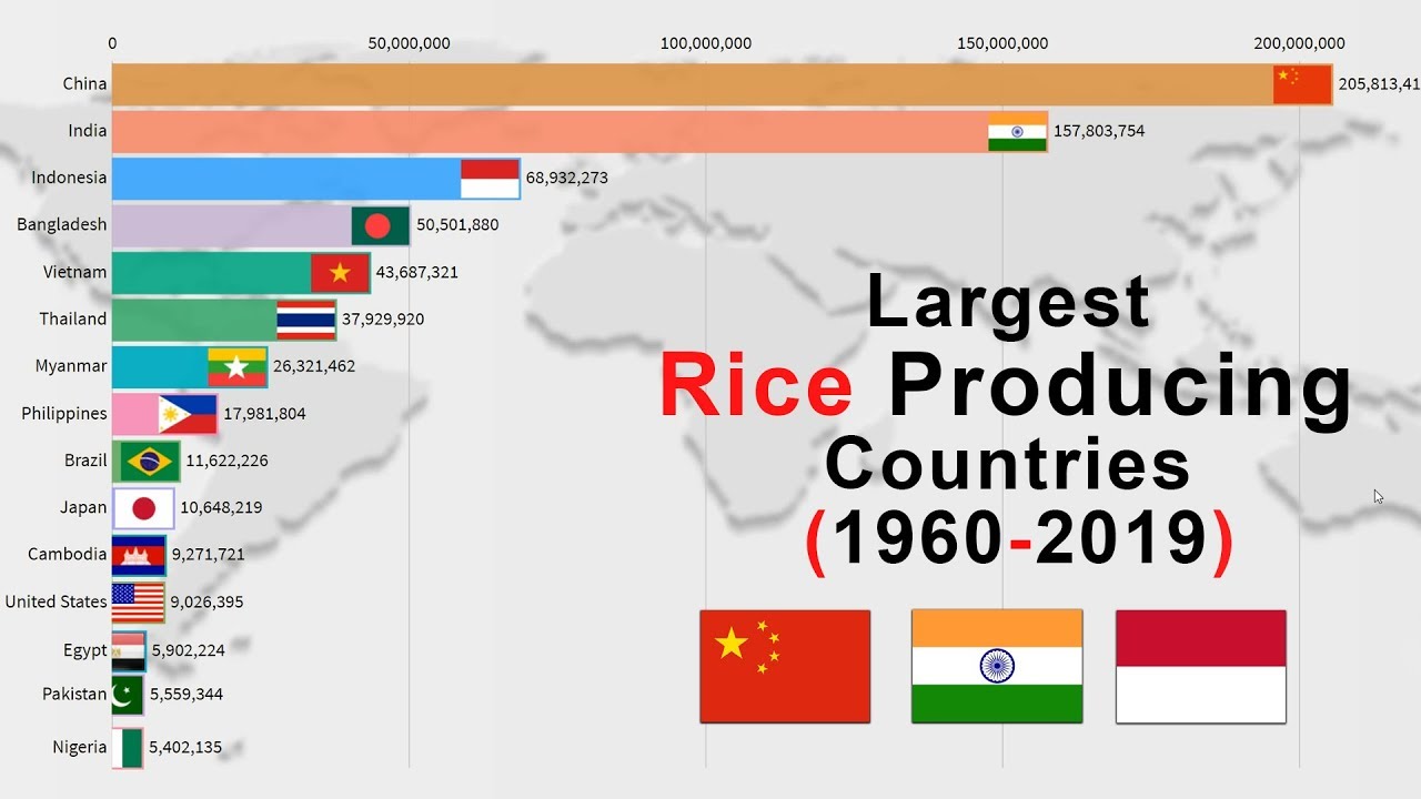 3 страны рис. Global Rice Production of Countries.