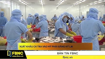 FBNC - Xuất khẩu cá tra vào Mỹ phải đăng ký lại