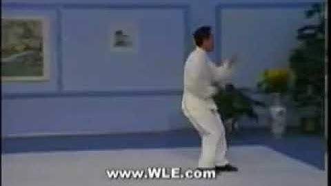 Xing Yi Chuan Hawk Eight Steps #23 WLE.com