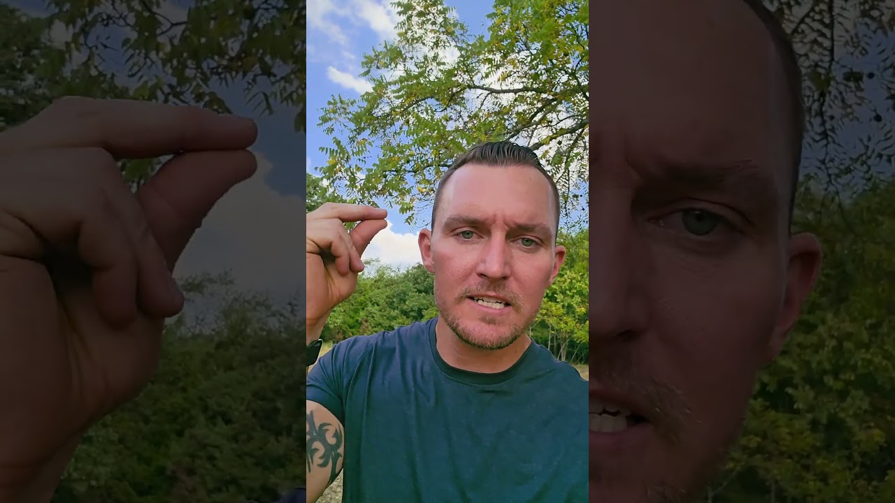 What's The Right Punishment For Kirk’s Killer?