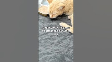 Donating via the link in the bio is deeply appreciated. Every bit counts and helps us save lives.