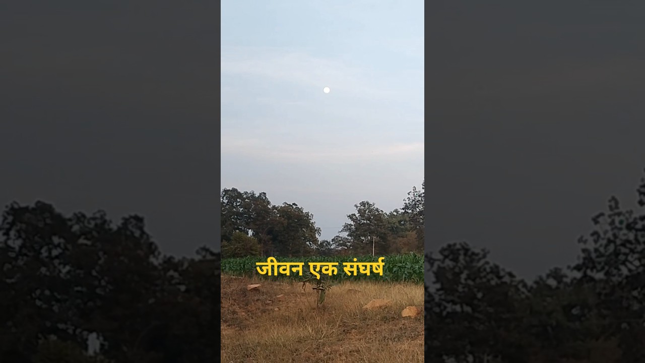 Jeevan Ek Sangharsh Hai Life Is A Struggle 