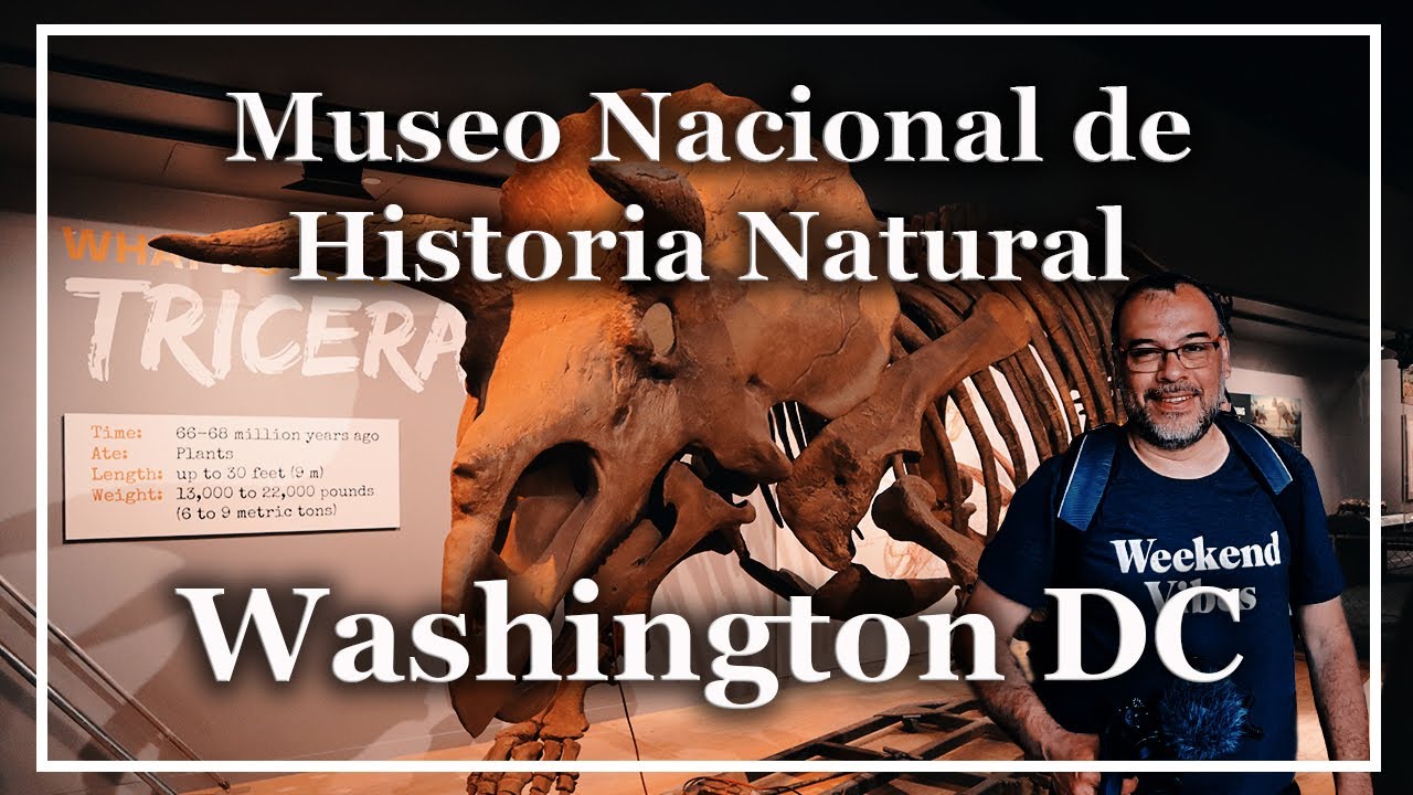 Museo Nacional de Historia Natural | Washington DC | Enrutados
