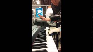 Playing The Piano Forrest, Wang Anmin