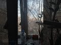 8 апреля 2022 г.