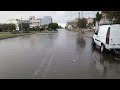 تحياتي صباحيه حي السلالي القصر الكبير كيف تستقبلوا النوع ديال الطيور يوم الثلاثاء 16 12 2025 