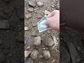 I found a dollar!