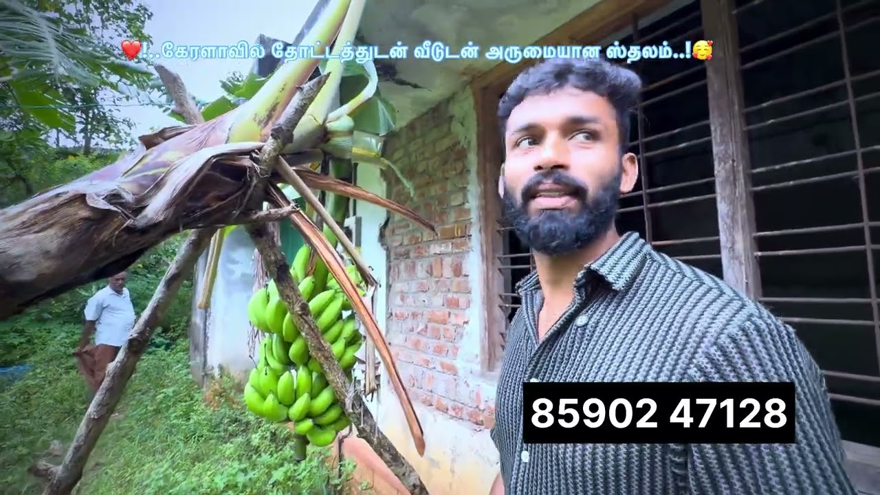 கேரளாவில் அருமையான ஒரு மிளகு தோட்டம் நேரடி ஓனர் 47 செண்டு பட்டா நிலம் மொத்தம் 2 ஏக்கர் நிலம் உள்ளது 