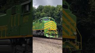 NS Illinois Terminal blows past in a hurry!