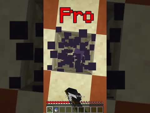 Noob vs Normal vs Pro go in a desert pyramid #shorts