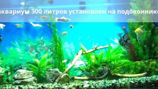 аквариум 300 литров на подоконнике(мой домашний аквариум 300 литров ,в обычной угловой квартире установлен на подоконник., 2016-05-18T04:08:26.000Z)