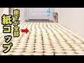 廊下が全部紙コップだった時の猫の反応が賢すぎた件【紙コップチャレンジ】【関西弁でしゃべる猫】 【猫アテレコ】