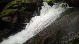 Vid 20260730 110235246