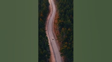 Relaxing music for study, sleep, stress relief #relaxingmusic #fyp #fypシ #stressrelief #study