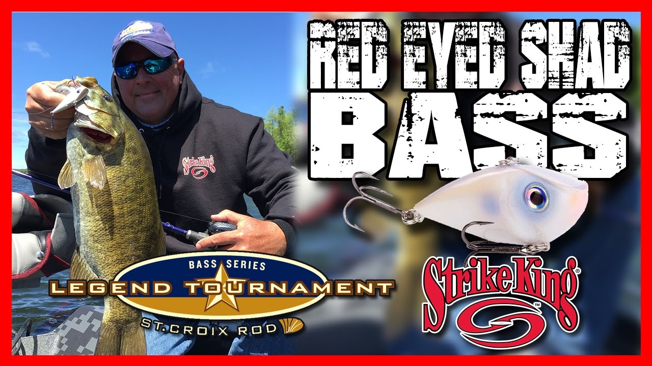 Red Eyed Shad Bass- Xtreme Bass Angler - YouTube