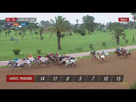 Live Hippodrome CASABLANCA Courses Du 26 01 2026 