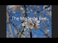 The modesto bee