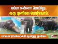 யப்பா என்னா வெயிலு..  ஒரு குளியல போடுவோம்... யானை ராமலெட்சுமி ஆனந்த குளியல்