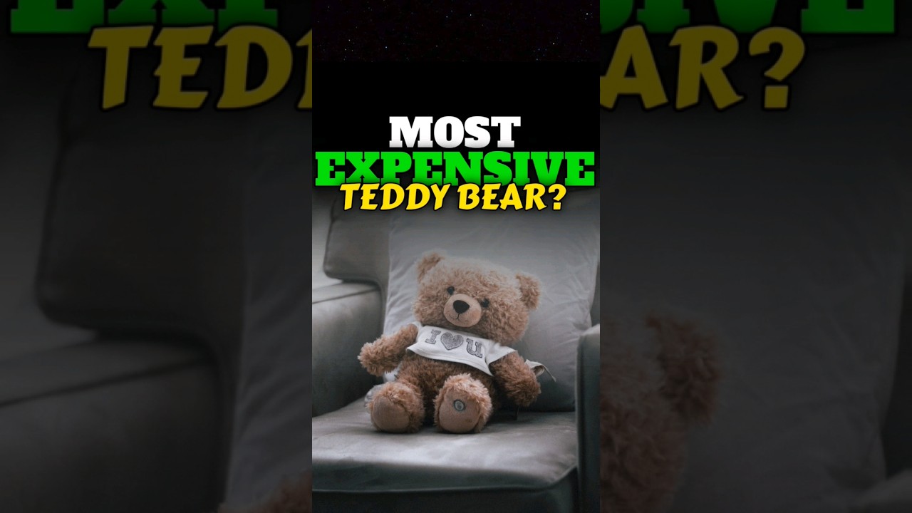 Most expensive teddy bear? #digitalsandy #teddybear 