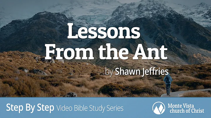 Lessons From the Ant - Step By Step Video Bible Study Series