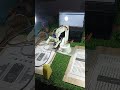 six axis Robotics Arm practical #arduinex #robot #arduino