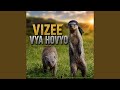 MZEE WA HOVYO REMIX 