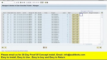 Access Control-SAP Transaction Execution Review