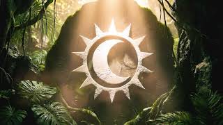 DJ Snake, Bantu - Company