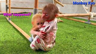 Something’s wrong with baby monkey BuNa… What Kyo did next was so touching!