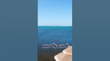 سورة التوبة و،.كا.نك تسمعها لأ؛،و.ل مر.ة🌺💮💐؛،💘..🏵️🌸💛بصوت الشيخ حمزة مد،بو.ح 🌼،،💝💞،؛💔💙🌺،.💔