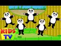 five little pandas | panda songs | panda nursery rhymes | little pandas | kids videos and songs