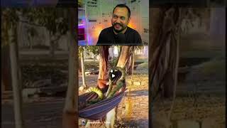 Download Lagu adu mekanik sama ular ! Klip React meme viral kocak #funny #memengakakkocak #reaction #comedy MP3