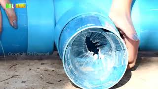 Amazing Beautiful girl idea fishing trap - how to make fish trap catch a lot of fish