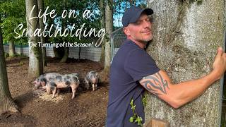 Smallholding Life - Long Days of Late Spring