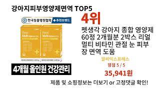 강아지피부영양제면역 돈 아깝지 않은 가성비 추천 상품 Top5