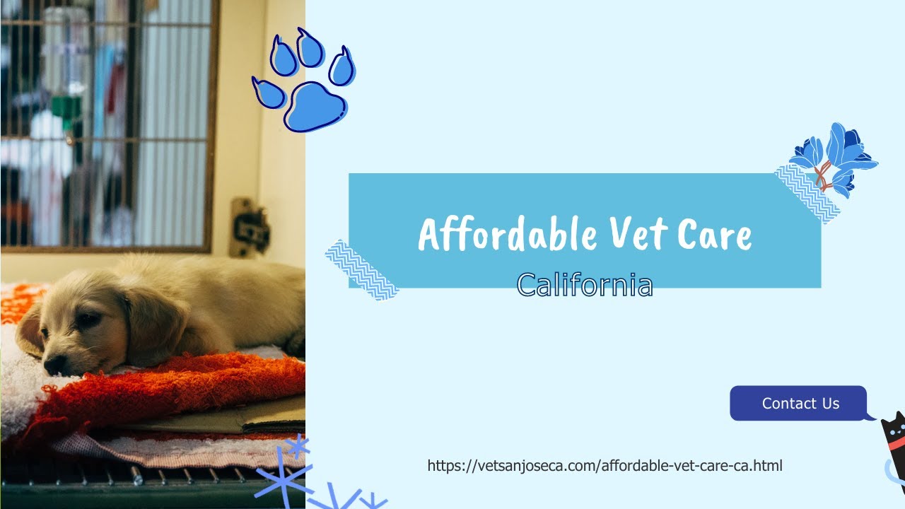 Affordable Vet Care California YouTube