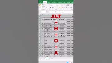 10 Detik merapihkan baris dan kolom di excel
